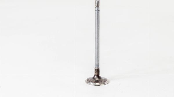 Magneti Marelli 820108 - Впускний клапан autozip.com.ua