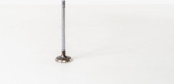 Magneti Marelli 820335 - Впускний клапан autozip.com.ua