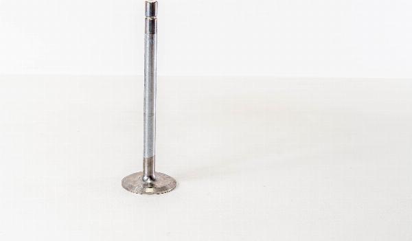 Magneti Marelli 821970 - Впускний клапан autozip.com.ua