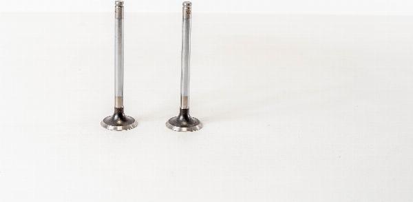 Magneti Marelli 821610 - Випускний клапан autozip.com.ua
