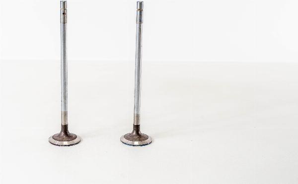 Magneti Marelli 821350 - Впускний клапан autozip.com.ua