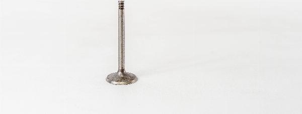 Magneti Marelli 828162 - Впускний клапан autozip.com.ua