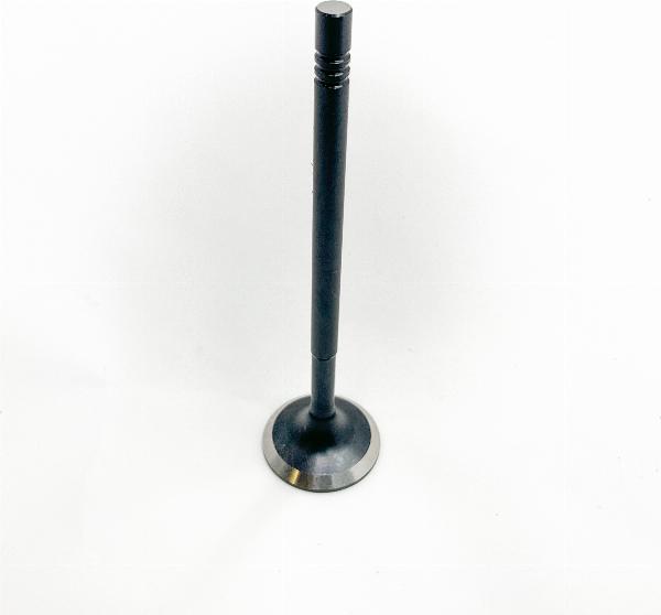 Magneti Marelli 827680 - Впускний клапан autozip.com.ua