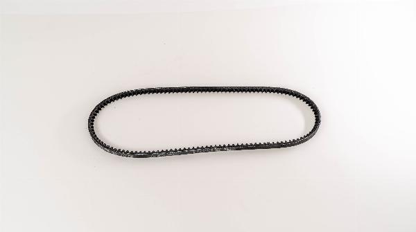 Magneti Marelli 381047 - Клиновий ремінь autozip.com.ua