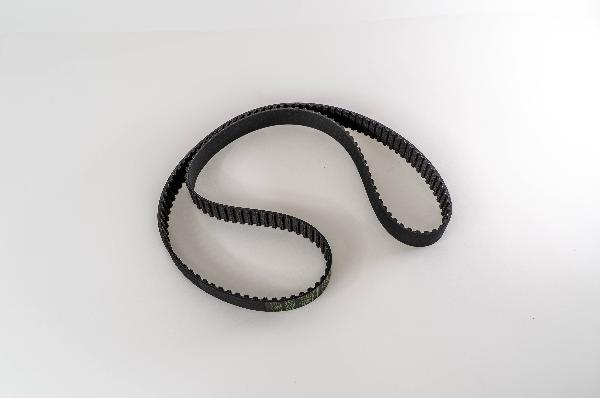 Magneti Marelli 381005 - Ремінь ГРМ autozip.com.ua