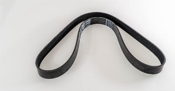 Magneti Marelli 382400 - Поліклиновий ремінь autozip.com.ua