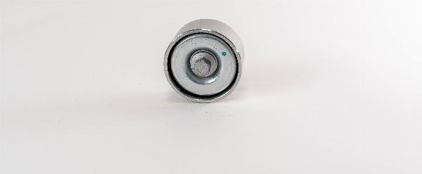 Magneti Marelli 382130 - Паразитний / провідний ролик, поліклиновий ремінь autozip.com.ua