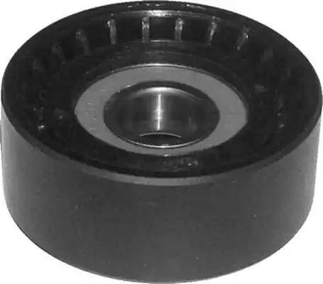Magneti Marelli 331316170161 - Паразитний / провідний ролик, поліклиновий ремінь autozip.com.ua
