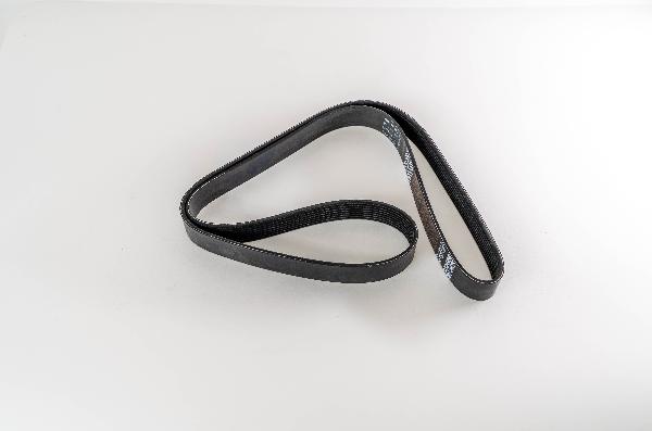 Magneti Marelli 295850 - Поліклиновий ремінь autozip.com.ua