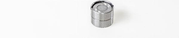 Magneti Marelli 221900 - Штовхач, гидрокомпенсатор autozip.com.ua