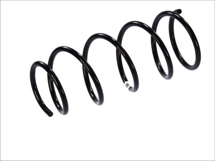 Magnum Technology SR001MT - Пружина ходової частини autozip.com.ua