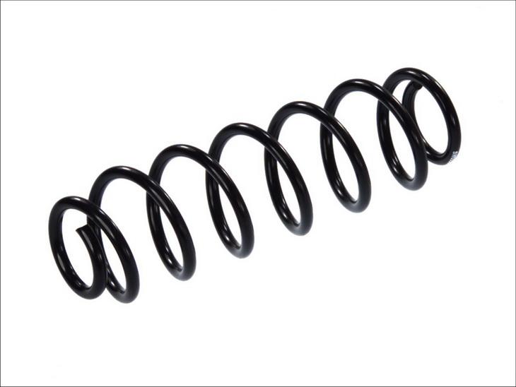 Magnum Technology SW055MT - Пружина ходової частини autozip.com.ua