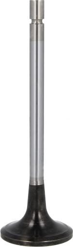 MAHLE 001 VE 30962 000 - Впускний клапан autozip.com.ua