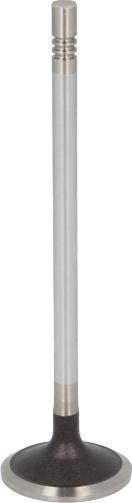 MAHLE 007 VE 31880 000 - Впускний клапан autozip.com.ua