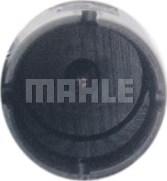 MAHLE ACP 884 000P - Компресор, кондиціонер autozip.com.ua