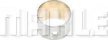 MAHLE G13528 - Втулка, важіль autozip.com.ua