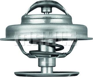 MAHLE TX 62 89 - Термостат, охолоджуюча рідина autozip.com.ua