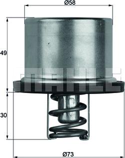 MAHLE TX 37 79 - Термостат, охолоджуюча рідина autozip.com.ua