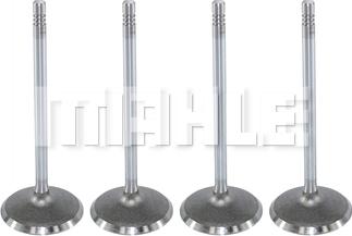 MAHLE VA0590174 - Впускний клапан autozip.com.ua