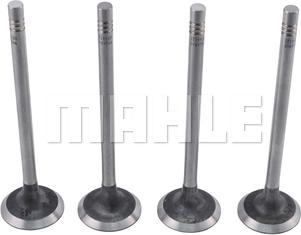 MAHLE VA0181766 - Впускний клапан autozip.com.ua