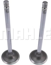 MAHLE VA0210442 - Впускний клапан autozip.com.ua