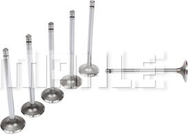 MAHLE VA0211371 - Впускний клапан autozip.com.ua