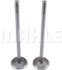 MAHLE VE0461694 - Випускний клапан autozip.com.ua