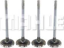 MAHLE VE0590175 - Випускний клапан autozip.com.ua