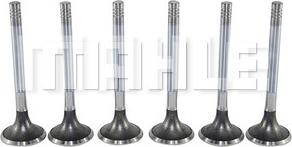 MAHLE VE0130098 - Випускний клапан autozip.com.ua
