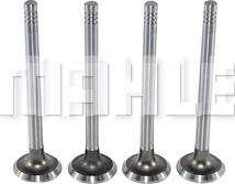 MAHLE VE0700049 - Випускний клапан autozip.com.ua