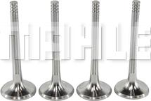 MAHLE VE0700087 - Випускний клапан autozip.com.ua