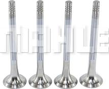 MAHLE VE0700021 - Випускний клапан autozip.com.ua