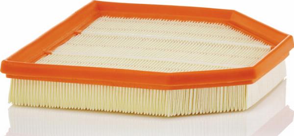 Mann-Filter C 24 242 - Повітряний фільтр autozip.com.ua