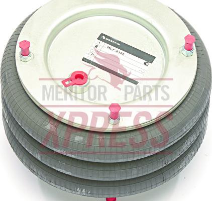 Meritor MLF8119 - Тіло підвіски, пневматична підвіска autozip.com.ua