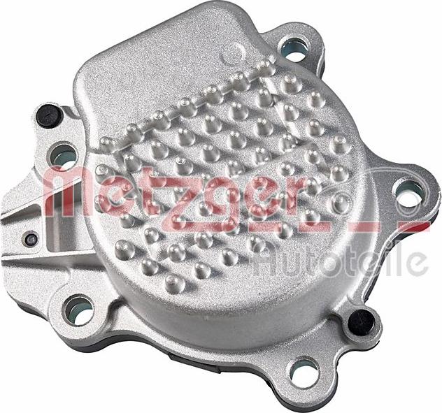 Metzger 4007049 - Водяний насос autozip.com.ua