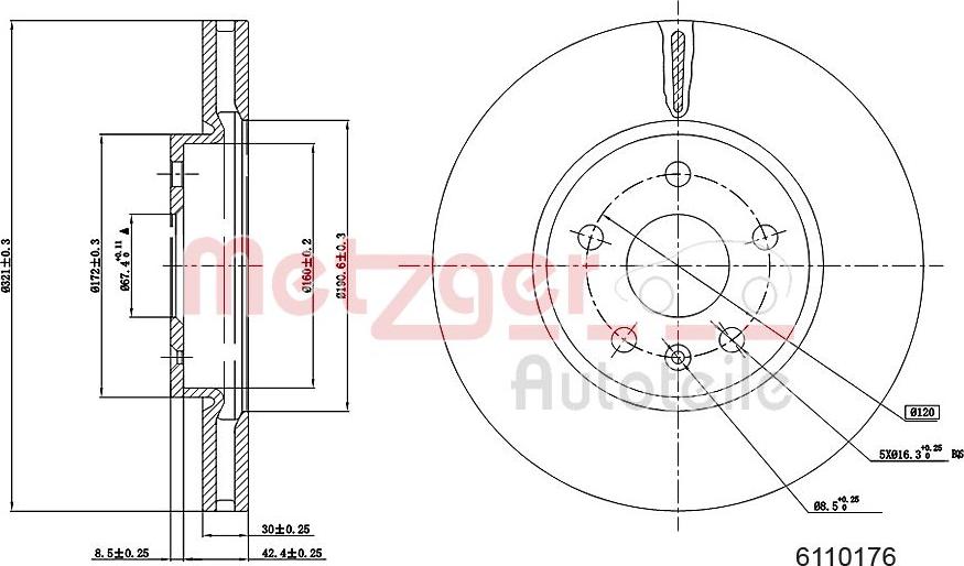 Metzger 6110176 - Гальмівний диск autozip.com.ua