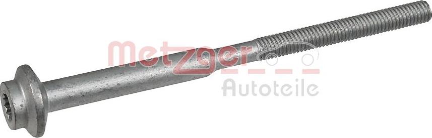 Metzger 0873029 - Болт, кріплення форсунки autozip.com.ua