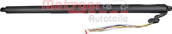 Metzger 2115009 - Електромотор, задні двері autozip.com.ua