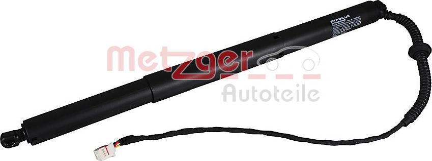 Metzger 2115036 - Електромотор, задні двері autozip.com.ua