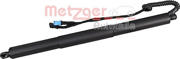 Metzger 2115021 - Електромотор, задні двері autozip.com.ua