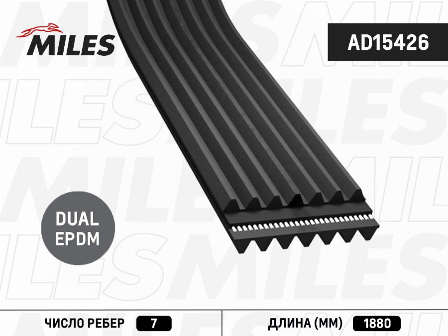 Miles AD15426 - Поліклиновий ремінь autozip.com.ua