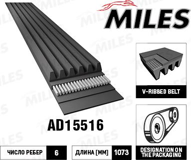 Miles AD15516 - Поліклиновий ремінь autozip.com.ua