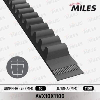 Miles AVX10X1100 - Клиновий ремінь autozip.com.ua