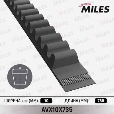 Miles AVX10X735 - Клиновий ремінь autozip.com.ua