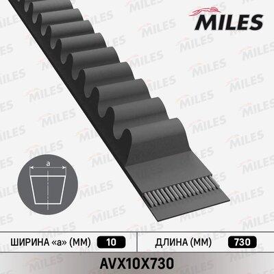 Miles AVX10X730 - Клиновий ремінь autozip.com.ua
