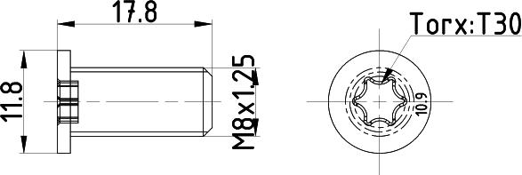 Mintex TPM0013 - Болт, диск гальмівного механізму autozip.com.ua