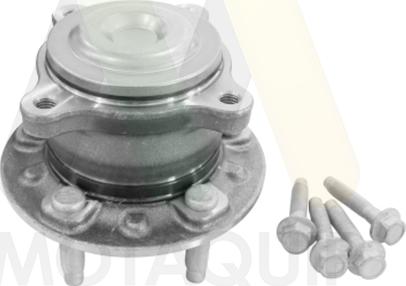 Motaquip LVBW1813 - Комплект підшипника маточини колеса autozip.com.ua