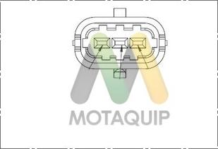 Motaquip LVCP172 - Датчик, положення розподільного валу autozip.com.ua