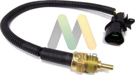 Motaquip LVCT344 - Датчик, температура охолоджуючої рідини autozip.com.ua