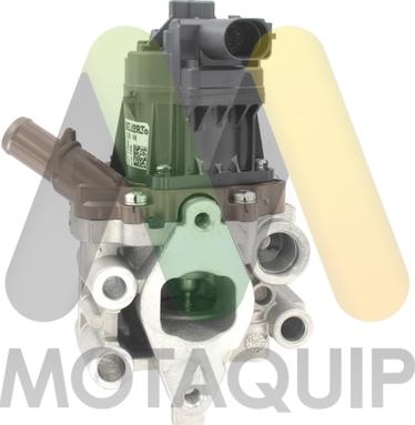 Motaquip LVER366 - Клапан повернення ОГ autozip.com.ua
